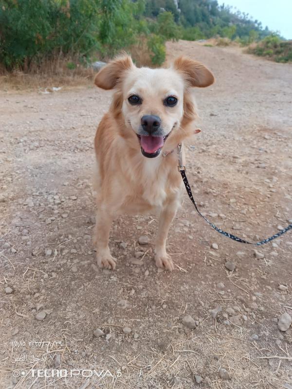 Najma, dolce meticcia Foto 8